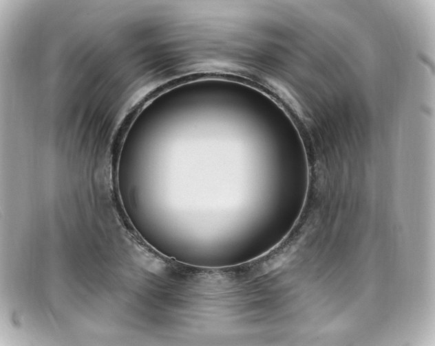 X0000099440931200805091309