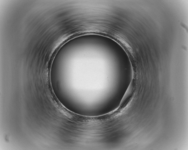 X0000099440933200805091309