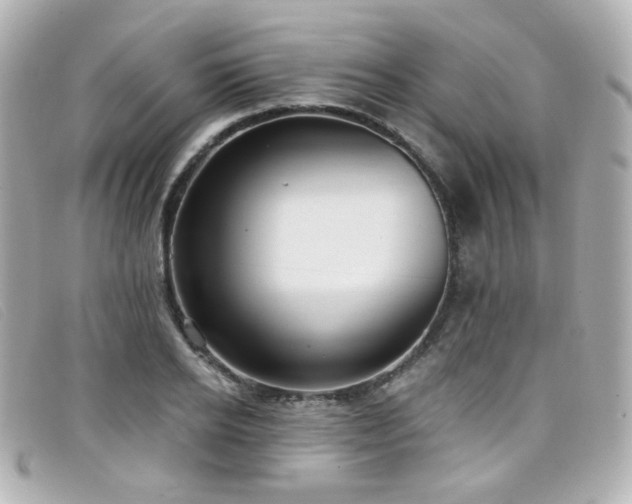 X0000099440934200805091309