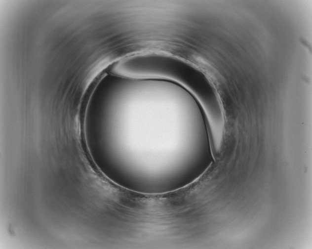 X0000099440936200805091309