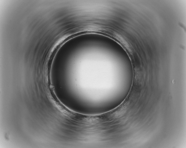 X0000099440939200805091309