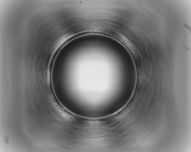 X0000099440940200805091309