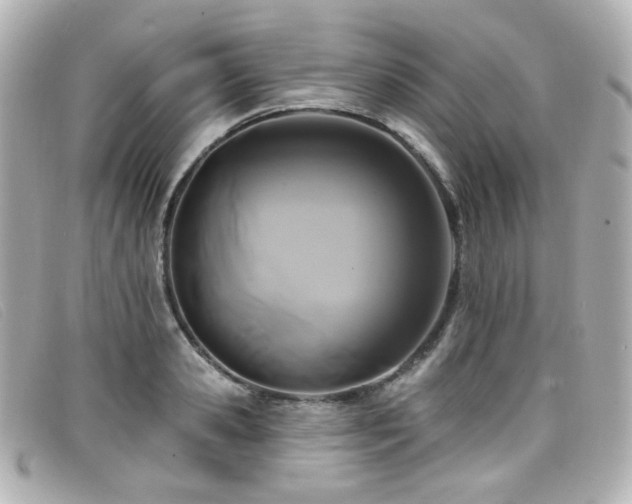 X0000099440941200805091309