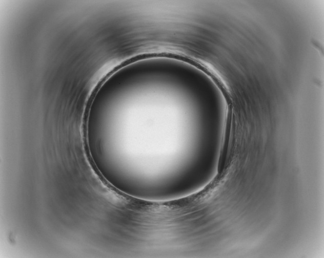X0000099440943200805091309