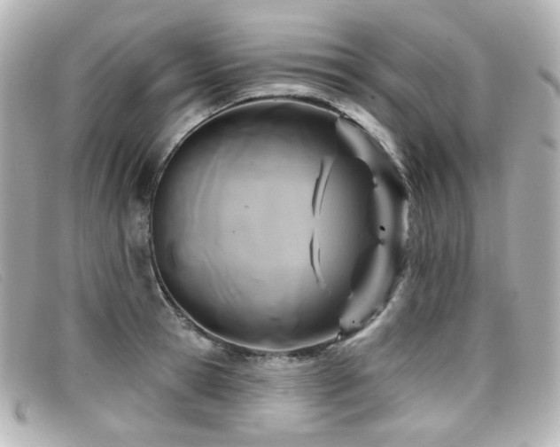 X0000099440945200805091309