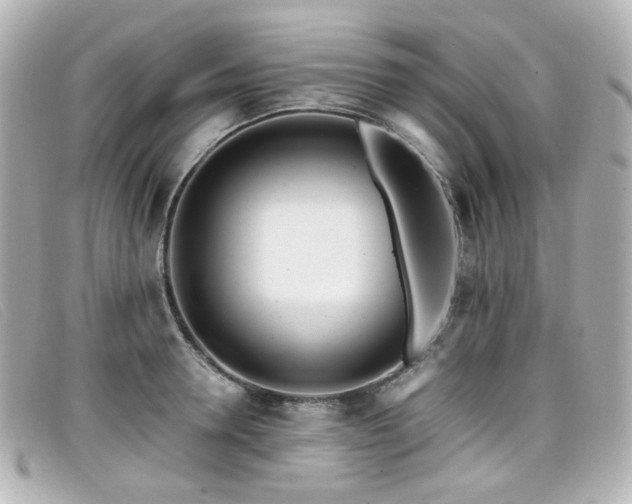 X0000099440946200805091309