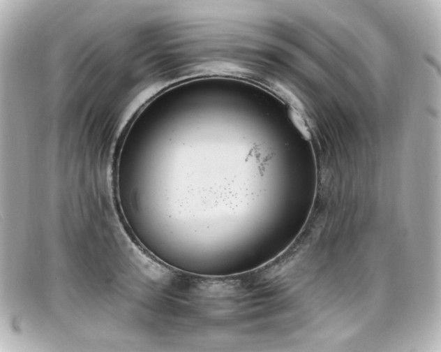 X0000099440947200805091309