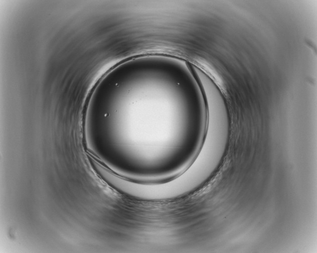 X0000099440948200805091309