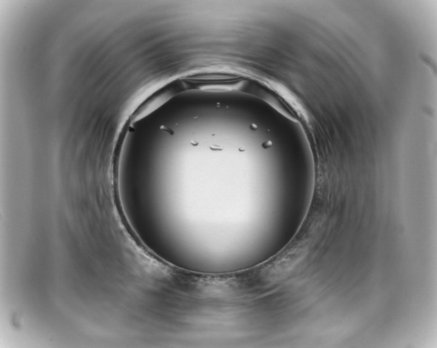 X0000099440951200805091309