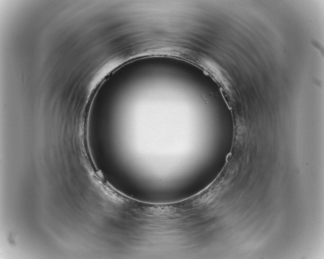 X0000099440952200805091309