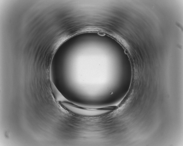 X0000099440953200805091309