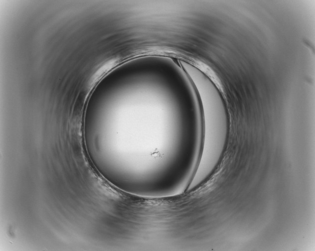 X0000099440954200805091309