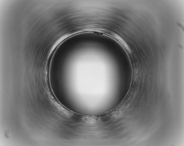 X0000099440955200805091309