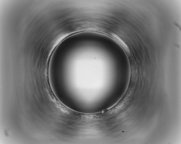 X0000099440956200805091309