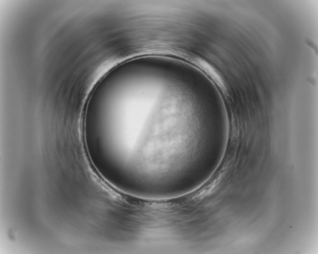 X0000099440958200805091309
