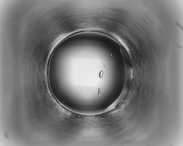 X0000099440959200805091309