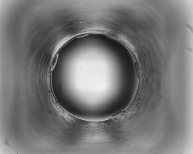 X0000099440960200805091309