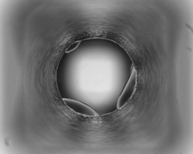 X0000099440961200805091309