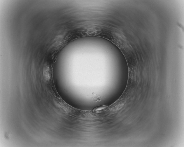 X0000099440962200805091309