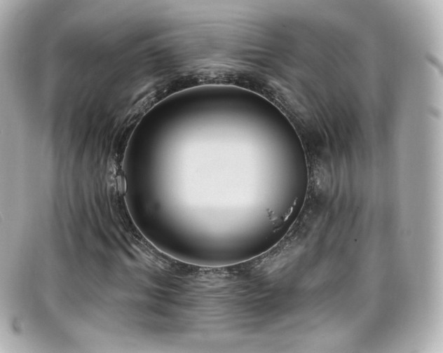 X0000099440964200805091309