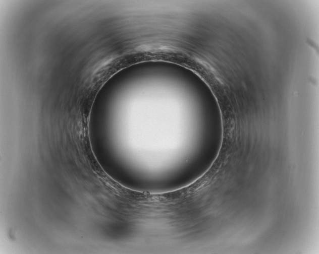 X0000099440966200805091309