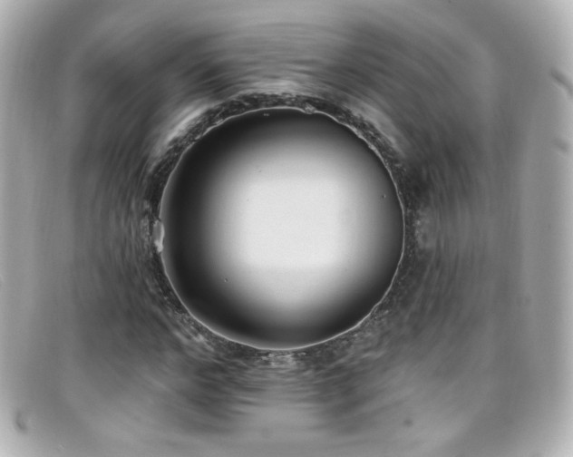 X0000099440968200805091309