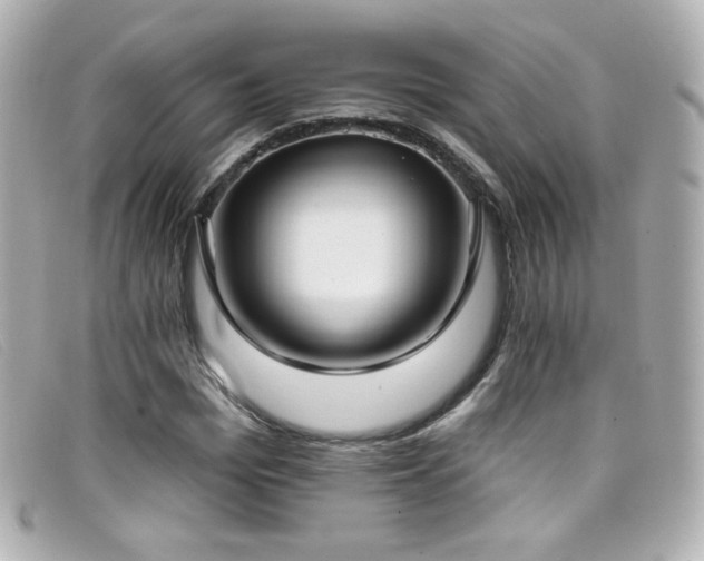 X0000099440969200805091309