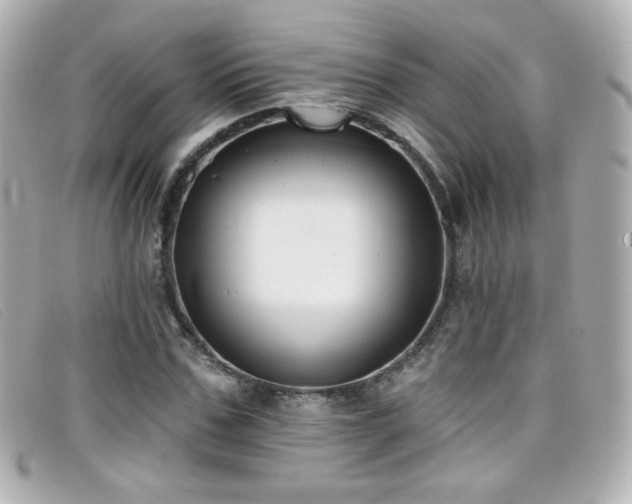 X0000099440971200805091309