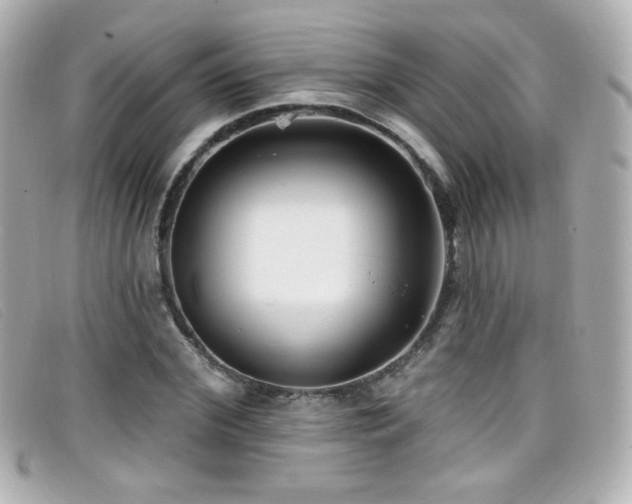 X0000099440972200805091309