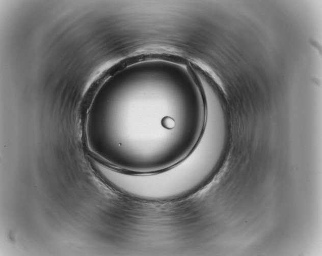 X0000099440973200805091309