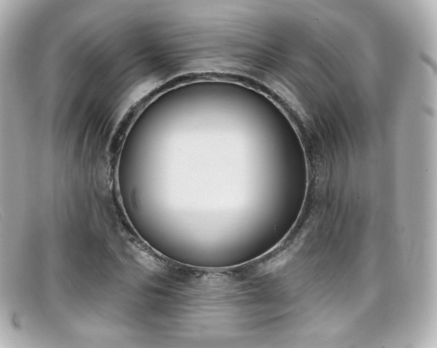 X0000099440974200805091309