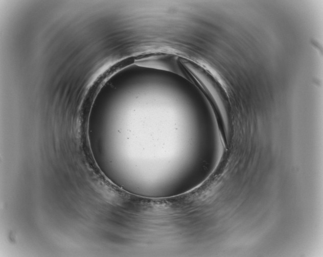 X0000099440975200805091308