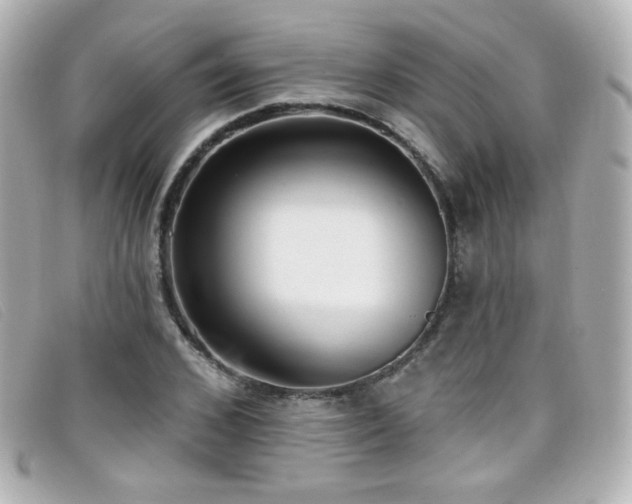 X0000099440976200805091308