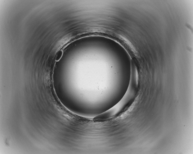 X0000099440977200805091308