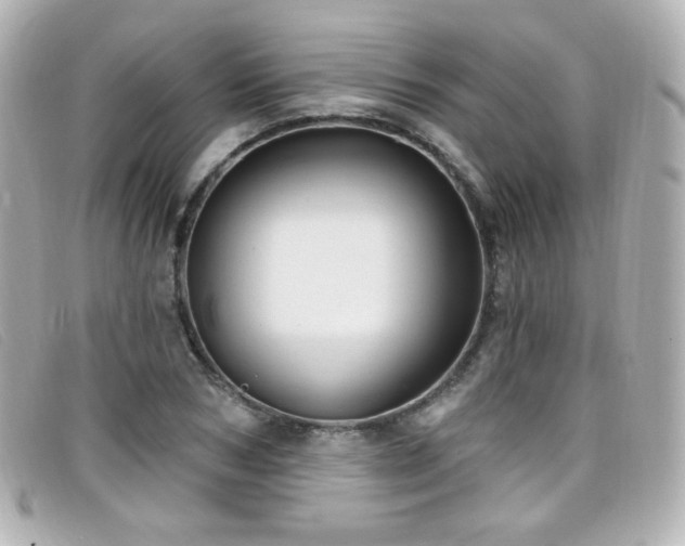 X0000099440978200805091308