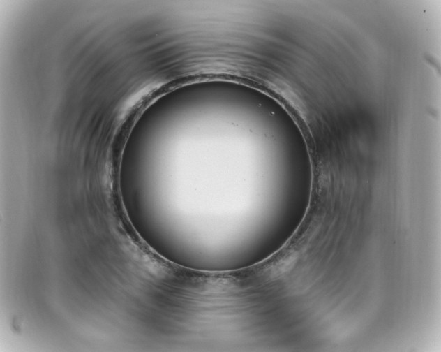 X0000099440979200805091308