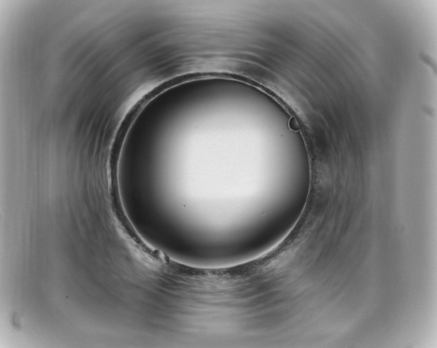 X0000099440980200805091308