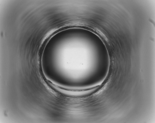 X0000099440981200805091308