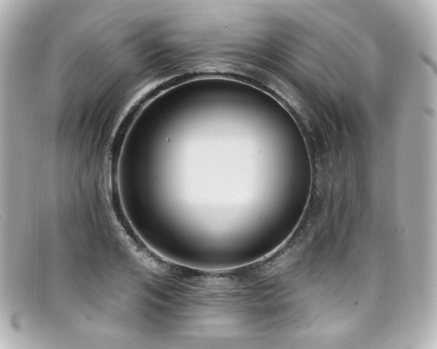 X0000099440984200805091308