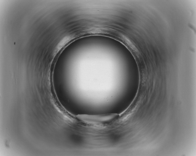 X0000099440986200805091308
