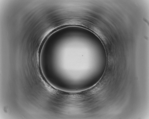 X0000099440988200805091308