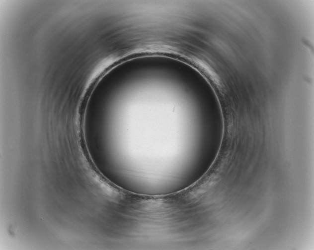 X0000099440990200805091308