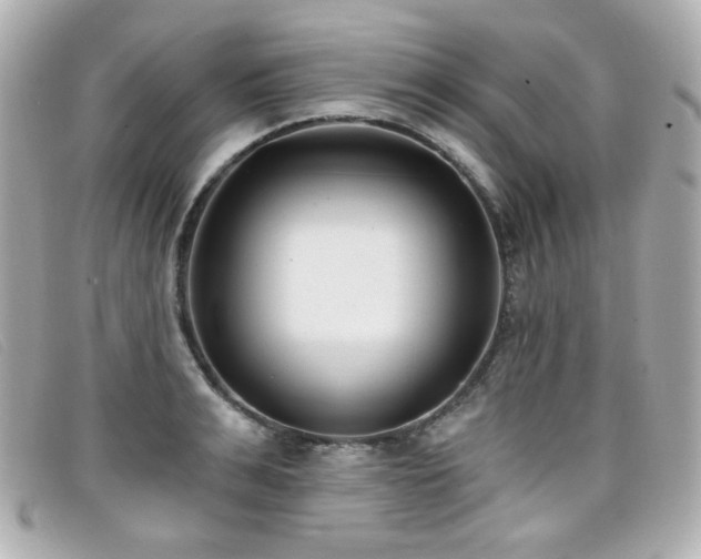 X0000099440991200805091308
