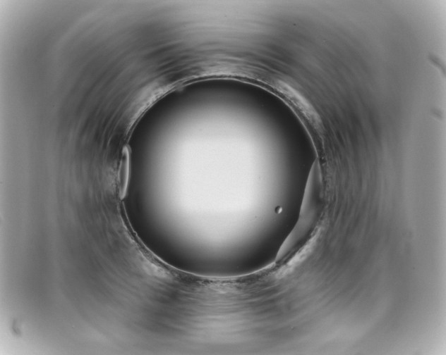 X0000099440993200805091308