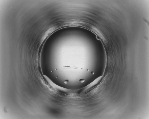 X0000099440994200805091308