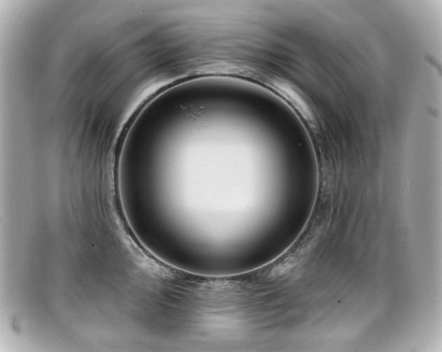 X0000099441000200805091308