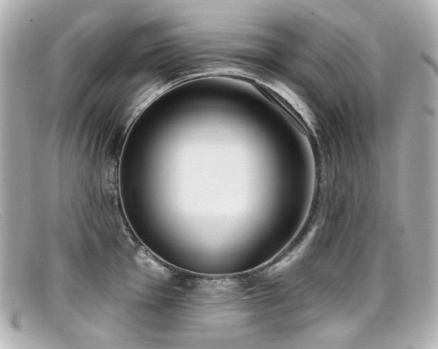 X0000099441001200805091308