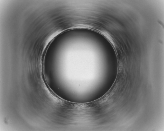 X0000099441003200805091308