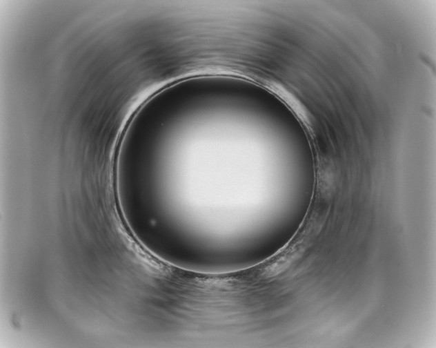 X0000099441004200805091308