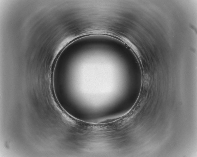 X0000099441005200805091308